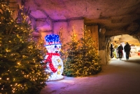 KerstmarktGemeentegrot-LR-124.jpg