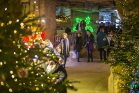 Kerststad Valkenburg 2019-Gemeentegrot-Eleven Media-8_verkleind.jpg